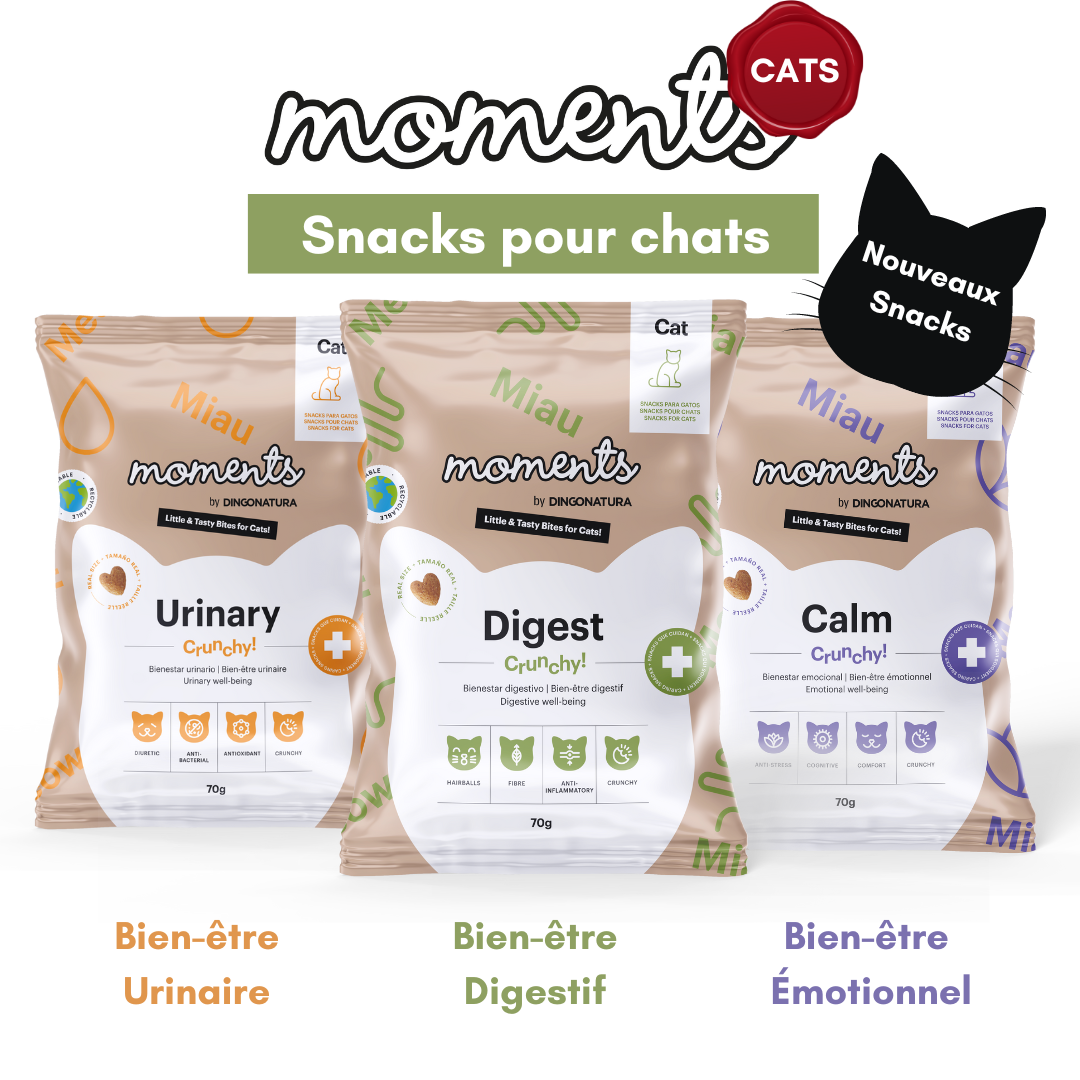 moments-cat-nouvelle-gamme-de-snacks-pour-chats-petfood-concept